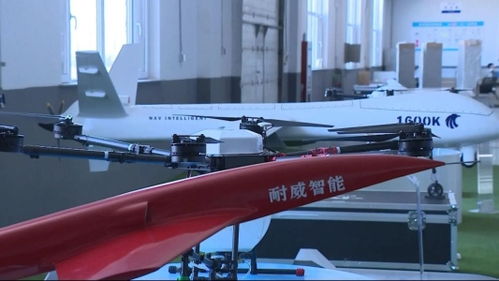 鲁闻道丨民营经济繁荣背后的潍坊作为