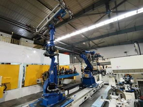 高质量发展看秀洲⑤ 麒盛科技 智能制造实现产业大提速